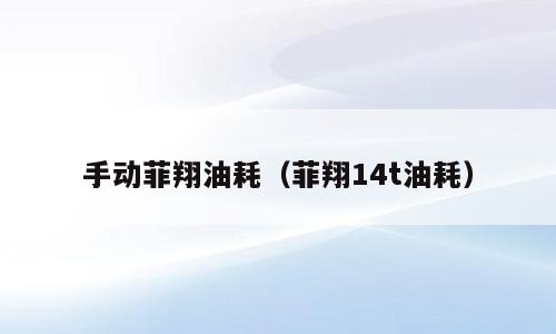 手动菲翔油耗（菲翔14t油耗）