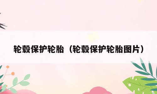 轮毂保护轮胎（轮毂保护轮胎图片）