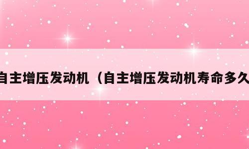 自主增压发动机（自主增压发动机寿命多久）