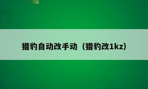 猎豹自动改手动（猎豹改1kz）