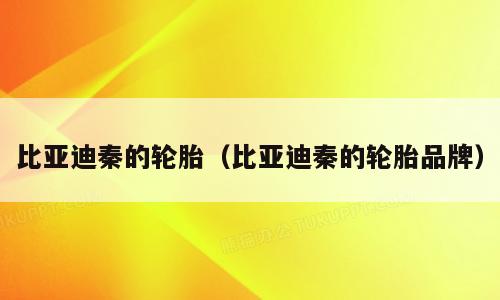 比亚迪秦的轮胎（比亚迪秦的轮胎品牌）