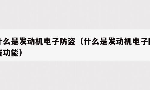 什么是发动机电子防盗（什么是发动机电子防盗功能）