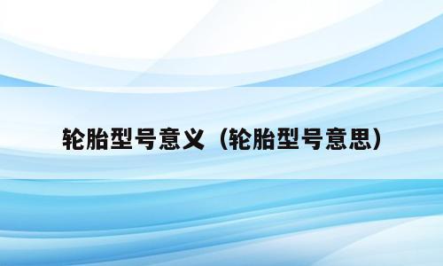 轮胎型号意义（轮胎型号意思）