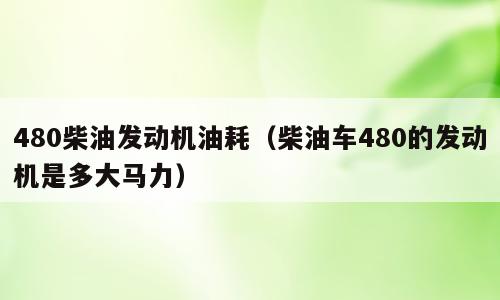 480柴油发动机油耗（柴油车480的发动机是多大马力）